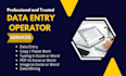 do urgent data entry , accurate data entry and fastest data entry