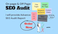 do expert SEO audit report for your website