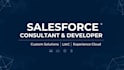 be your expert salesforce consultant and developer for custom solutions