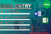 do data entry data entry,any copy paste, exel, convert files