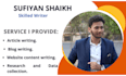 write SEO based articles blogs and promotional content