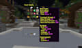 play minecraft bedwars with you and make you a pro