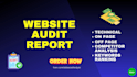 provide professional website audit report, full SEO audit