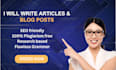 write SEO blog posts and articles as your content writer