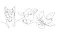 draw custom animal portrait in one line style