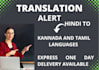 do professional translation services