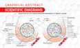 design scientific illustrations, publication image, graphical abstract