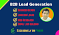 do b2b lead generation by web research and email list building