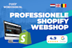 design a professional shopify store