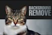 remove background from your photo