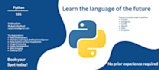 teach python basic programming