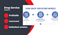 create profitable and professional drop service website