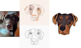 draw a detail continuous line art illustrations your photo