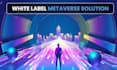provide a white label metaverse solution
