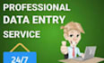 do fastest data entry in one day, internet research