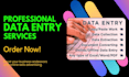 do data entry, copy paste, web scraping, excel data entry, lead generation