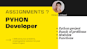 complete your python assignments projects