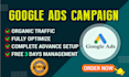setup, optimize, manage and audit your google ads adwords PPC campaign