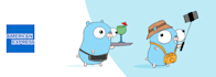 be your golang developer
