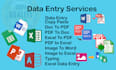 excel data entry, form filling, files conversion