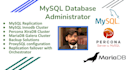 do mysql mariadb  percona dba install, replicate, cluster,admin, administration