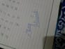 write your work in my handwriting
