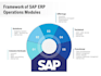 provide consultancy and support to sap mm, pp, qm modules