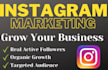 promote your instagram profile with organic engagement