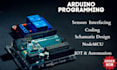 do your arduino programming, code and project