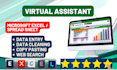 virtual assistant for any data entry, typing and copy paste as ms excel expert