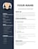 design a professional resume or CV
