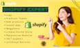 developer shopify , one product shopify store , shopify dropshipping store