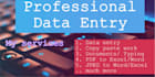 do excel data entry