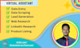 be your virtual assistant for excel data entry, web research, copy paste etc