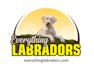 design a professional modern  pet logo
