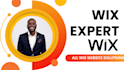 design wix website beauty store shop redesign wix editor x website law firm