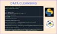 do data cleaning, processing and analysing data in python