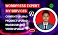 do wordpress data entry, content upload, and product listing on your website
