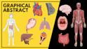 design medical, scientific figure, graphical abstract