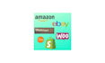 manage e commerce store as virtual assistant
