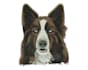 embroidery digitizing in 2 hours dst, pxf