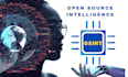 send you an open source intelligence osint investigation