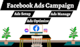 be your facebook ads campaign manager, run fb ads campaign