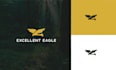 design a modern minimalist logo for your business