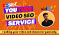 be your youtube video SEO for top ranking with tubebuddy and vidiq
