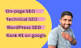 do on page seo and technical optimization of your website