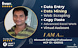do perfect data entry, excel work