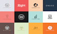 make a professional and versatile logo within 8 hrs
