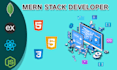 be your next mern stack developer