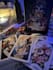give tarot reading for love and life clarity intuitive and accurate